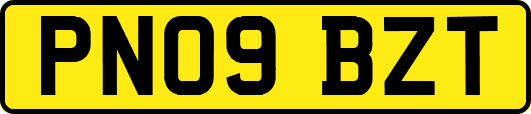 PN09BZT