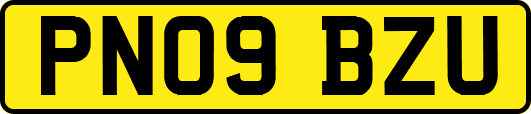 PN09BZU