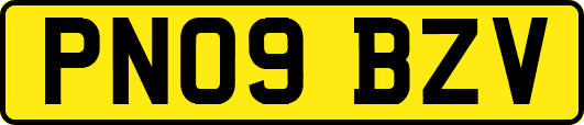 PN09BZV