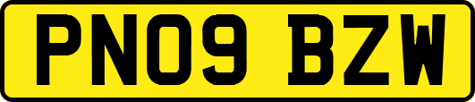 PN09BZW