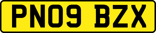 PN09BZX