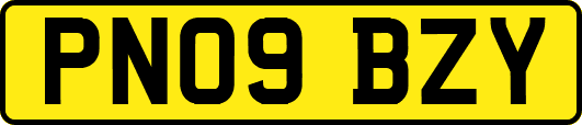 PN09BZY