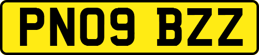 PN09BZZ