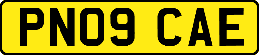 PN09CAE