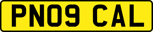 PN09CAL