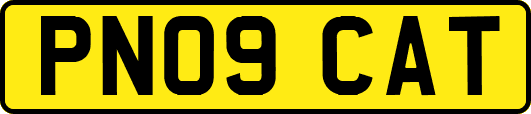 PN09CAT