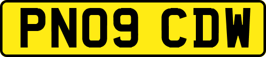 PN09CDW