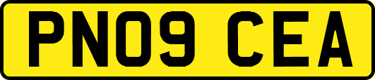 PN09CEA