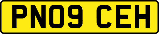 PN09CEH
