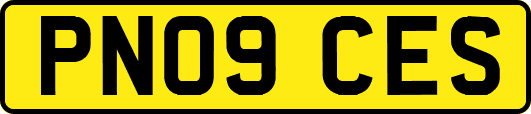 PN09CES