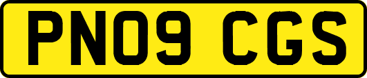 PN09CGS