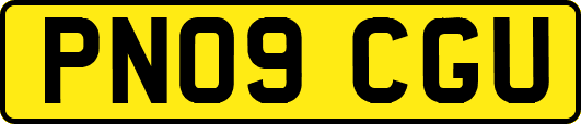PN09CGU