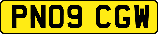 PN09CGW