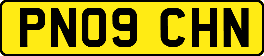 PN09CHN