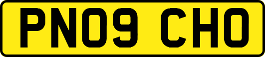 PN09CHO