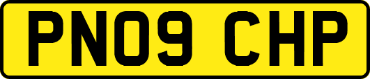 PN09CHP