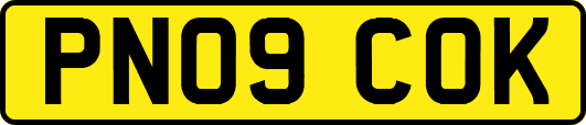 PN09COK
