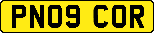 PN09COR