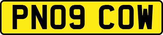 PN09COW