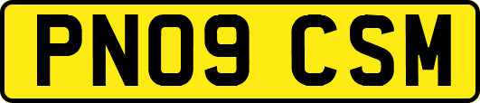 PN09CSM