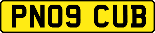 PN09CUB