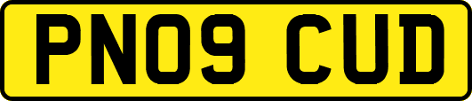 PN09CUD