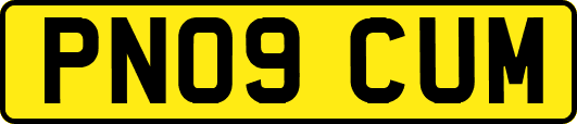 PN09CUM