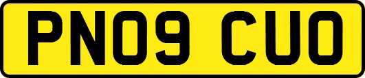 PN09CUO
