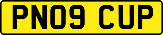 PN09CUP