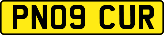 PN09CUR