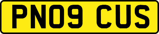 PN09CUS