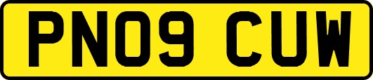 PN09CUW