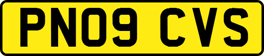 PN09CVS
