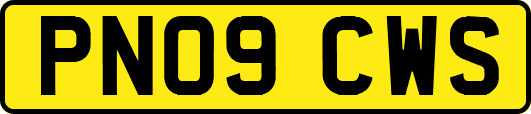 PN09CWS