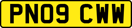 PN09CWW