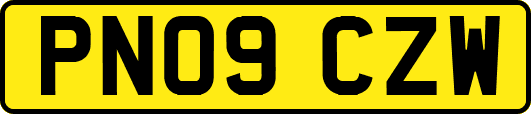 PN09CZW