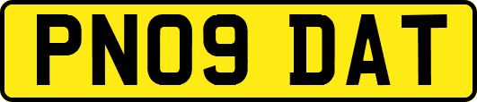 PN09DAT
