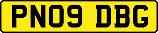 PN09DBG