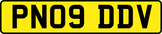 PN09DDV