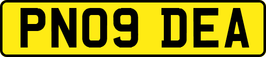 PN09DEA