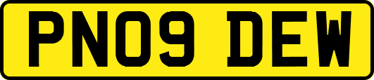 PN09DEW