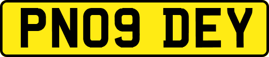 PN09DEY