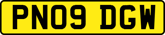 PN09DGW