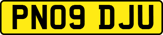 PN09DJU