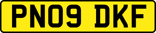 PN09DKF