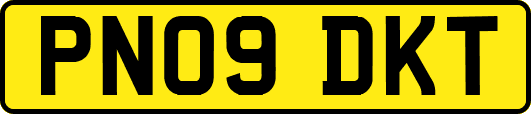 PN09DKT