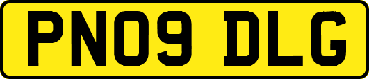 PN09DLG