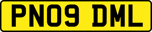 PN09DML