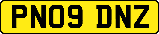 PN09DNZ