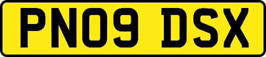 PN09DSX